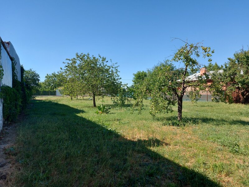 Bucurestii Noi, Bazilescu, Bd. Laminorului